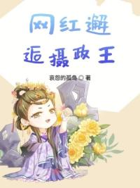 网红邂逅摄政王
