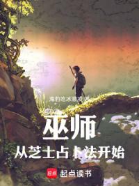 巫师：从黑市开始每日结算